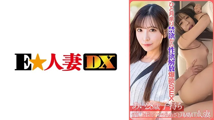 299EWDX-522AI(28)